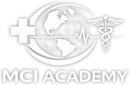 MCI Academy Logo